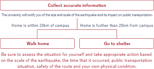 Collect reliable information. If public transport is not running, returning home is only advisable if your home is located less than 20km from campus. Go to an evacuation shelter if your home is more than 20km away. *Be sure to assess the situation for yourself and take appropriate action based on the scale of the earthquake, the time that it occurred, public transportation situation, safety of the route and your own physical condition.