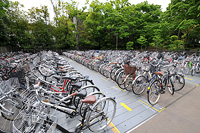 Bike Parking