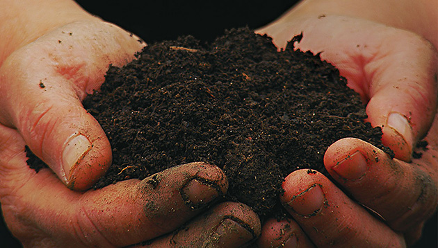 Microorganisms to bring about a Change in Japanese Agriculture, beginning with the Soil