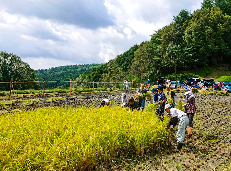 Field Work in Northern Ibaraki