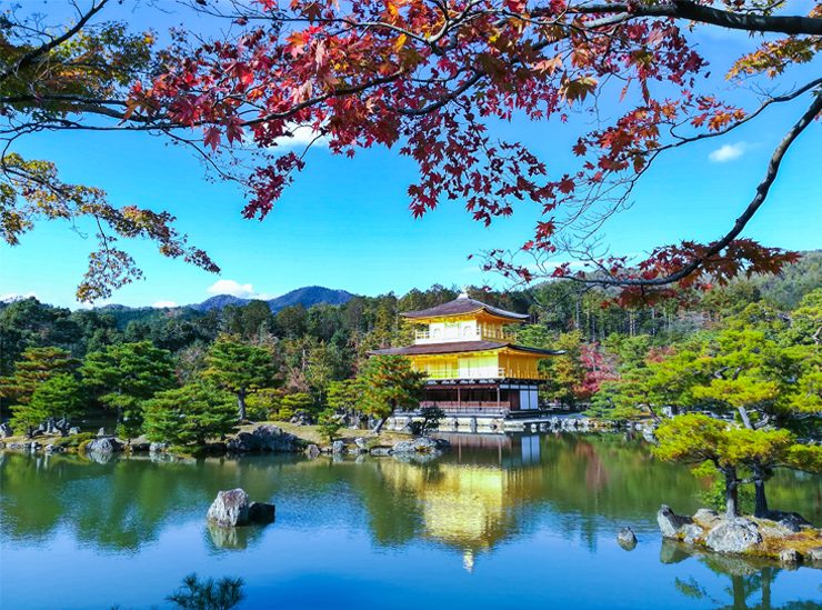 Photo of the Golden Temple taken by Kuroki Go - JDP student in Kyoto at Ritsumeikan University