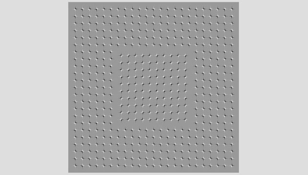 Visual Illusions and the Mysteries of Human Perception