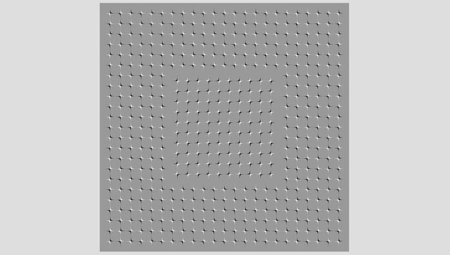 Visual Illusions and the Mysteries of Human Perception