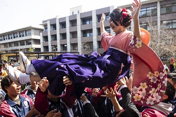 A student in a kimono is thrown into the air by a group in celebration