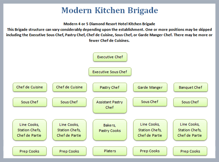 A flowchart of a modern professional kitchen hierarchy with executive chef at the top and prep cooks and platers at the bottom