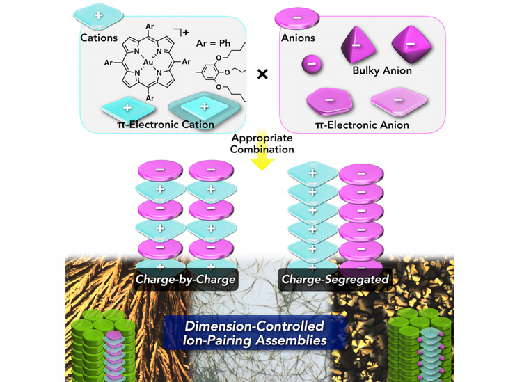 Ritsumeikan Research - image is an extended version of the title image with an extra bottom section showing both rows of cations and anions leading to the label dimension-controlled ion-pairing assemblies