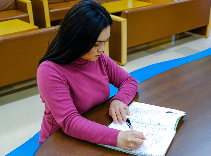 Global Studies Major International Relations - student studies at desk