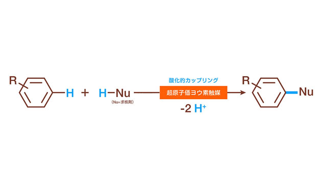 Creating a new Chemical Synthesis that can reform our Lives and Medical Fields