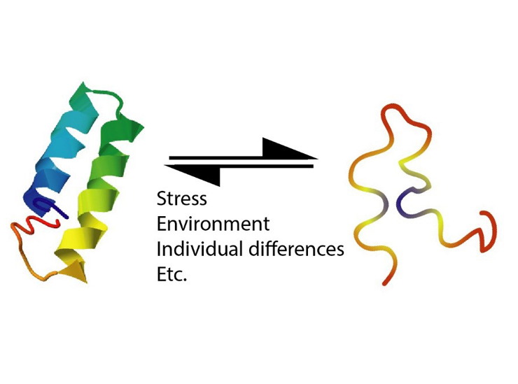 Figure 2. The model of nonstructural-structural transition of 2019-nCoV nonstructural protein 7b.