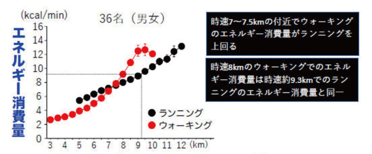 Dårligt humør Jeg tror, ​​jeg er syg Faktura Research shows the optimal fast walking speed to increase calorie burning  efficiency is 7 km/h ｜Ritsumeikan University