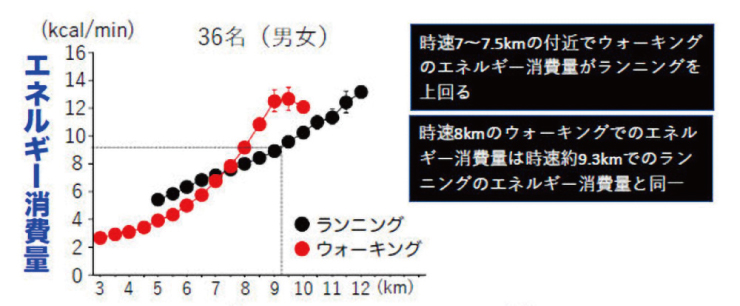 Average Walking Speed: The Science Behind How Fast You Walk