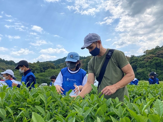 2022茶摘み