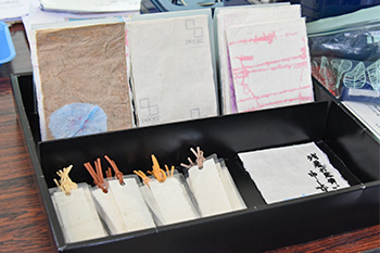 Postcards and bookmarks created by students on display at the reception desk