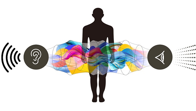 Sound changes perception of movements and vision