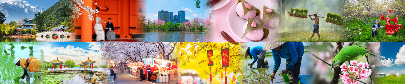 春花