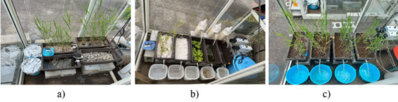 Figure 1: A series of lab-scale CWs for acid mine drainage treatment in BKC campus, Ritsumeikan University: a) hybrid clamshell-based CWs; b) a combination of neutralization and floating CWs; c) CWs filled with corncob biochar.