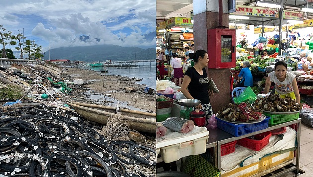 Development of a Theoretical Framework for Local Food System Resilience and Empirical Research