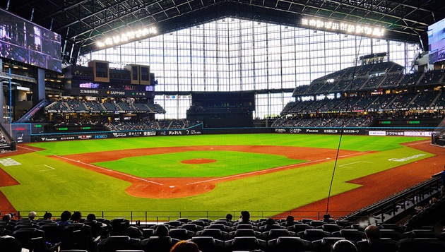 Exploring the innovative business model of the Hokkaido Nippon-Ham Fighters