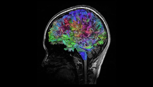 Engaging in Body Sphere Research through the Lens of Neuroscience