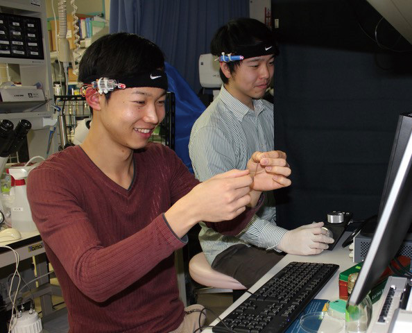 Analyzing electrophysiological response in retinas by the patch-clamp method