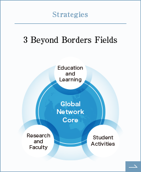 Strategies 3 Beyond Borders Fields